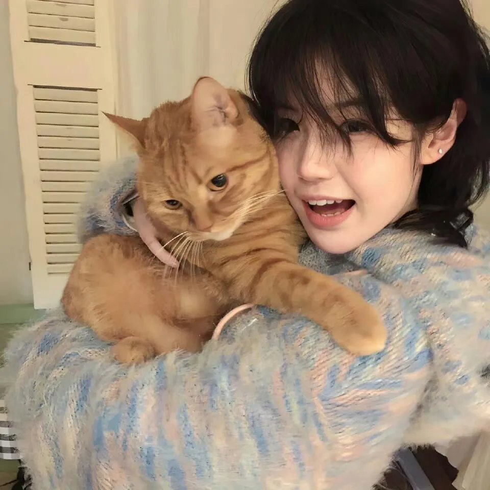 猫屎妈妈粤语